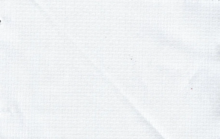 Tessitura Monti 30248-140 White Self fabric swatch