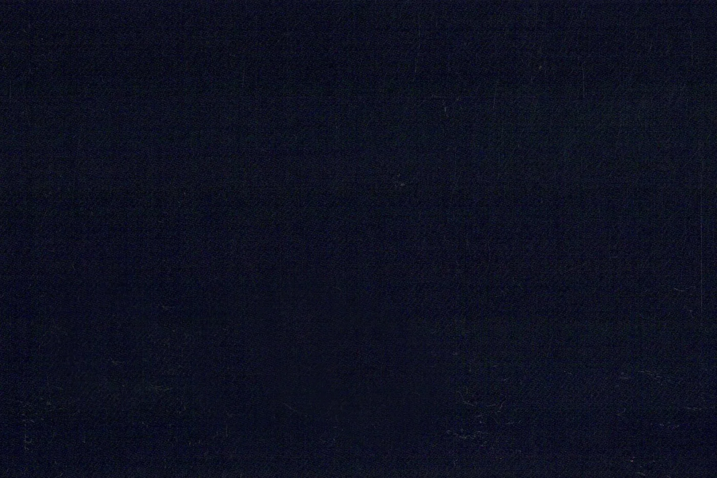 Trabaldo Cavalli 25027-290 NAVY fabric swatch