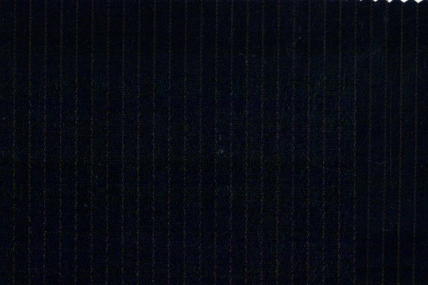 Trabaldo Cavalli 25076-250 NAVY W/WINE STRIPE fabric swatch