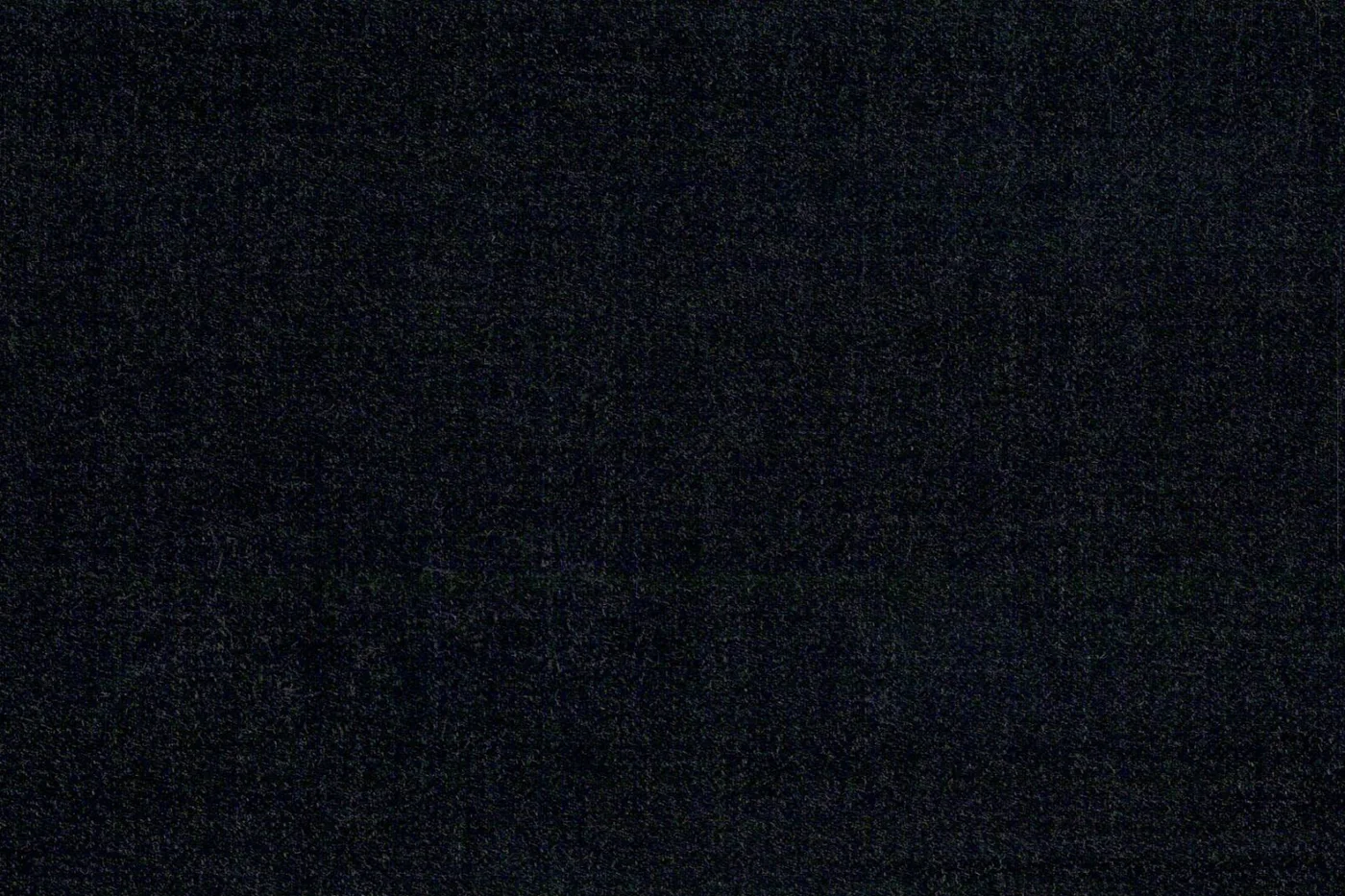 Vitale Barberis Canonico Perennial Super 110's 26938-295 DARK GREY fabric swatch