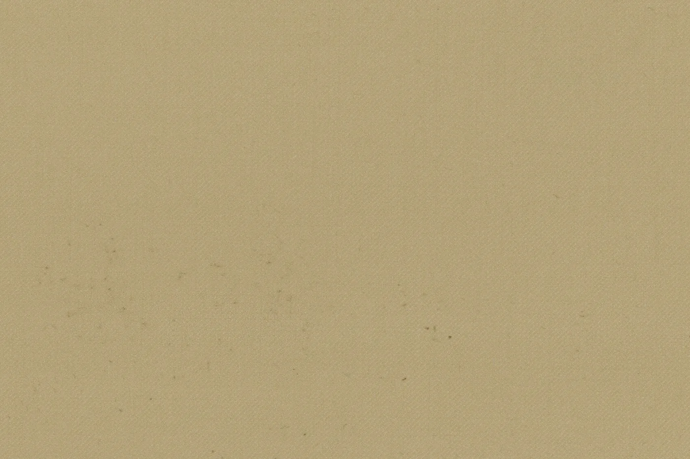 Vitale Barberis Canonico Perennial Super 110's 26941-295 TAN fabric swatch