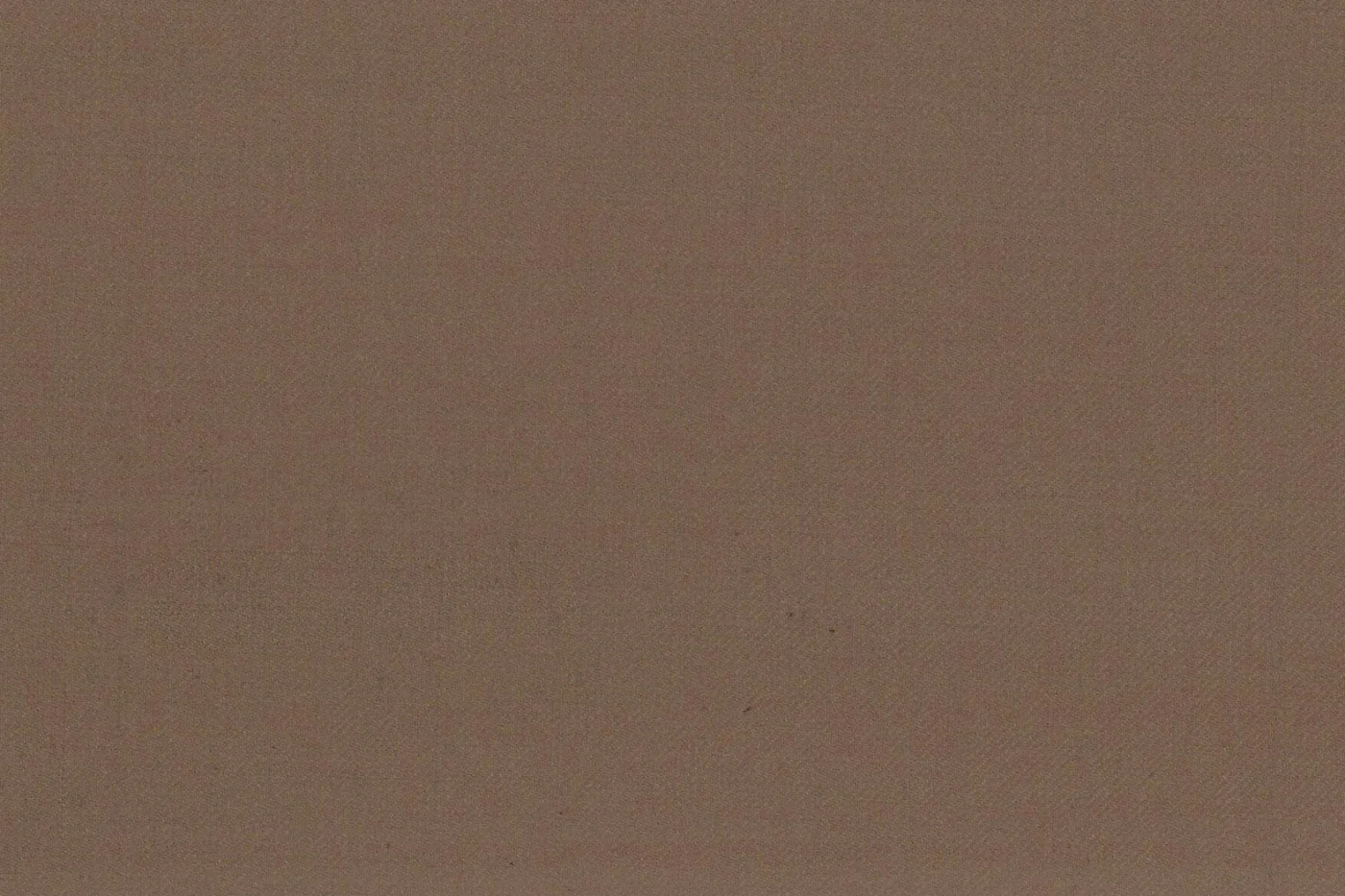 Vitale Barberis Canonico Perennial Super 110's 26942-295 TAUPE fabric swatch