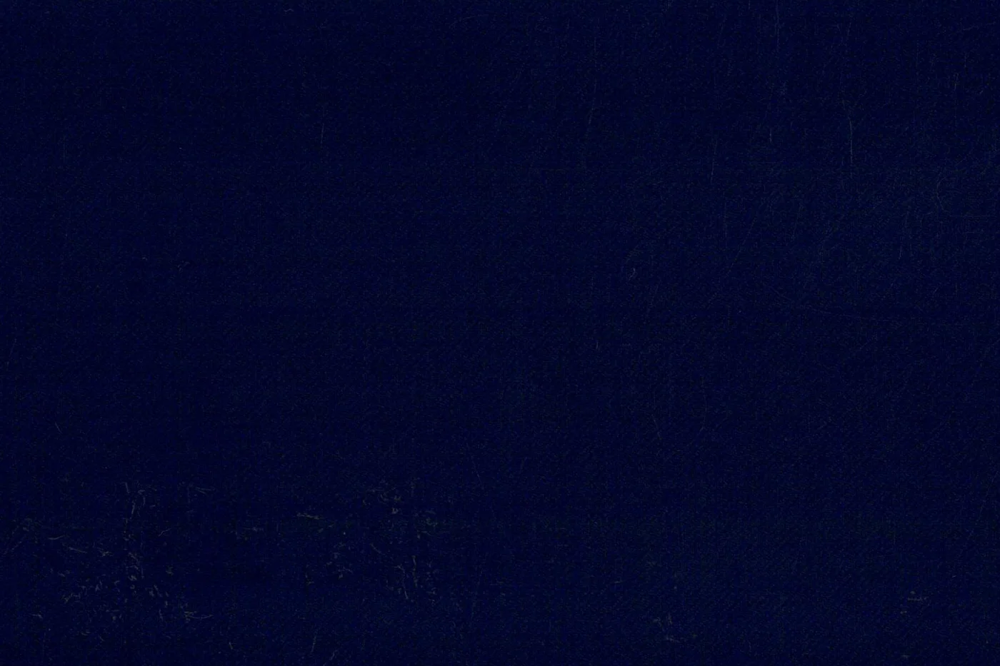 Vitale Barberis Canonico Perennial Super 110's 26947-295 LIGHT NAVY fabric swatch