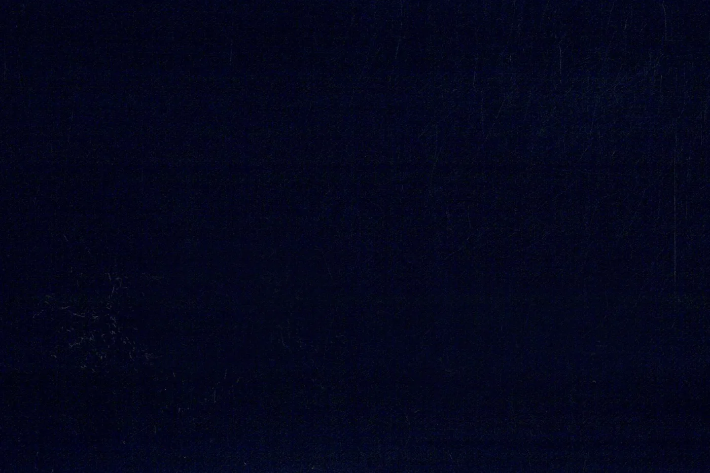 Vitale Barberis Canonico Perennial Super 110's 26948-295 DARK NAVY fabric swatch