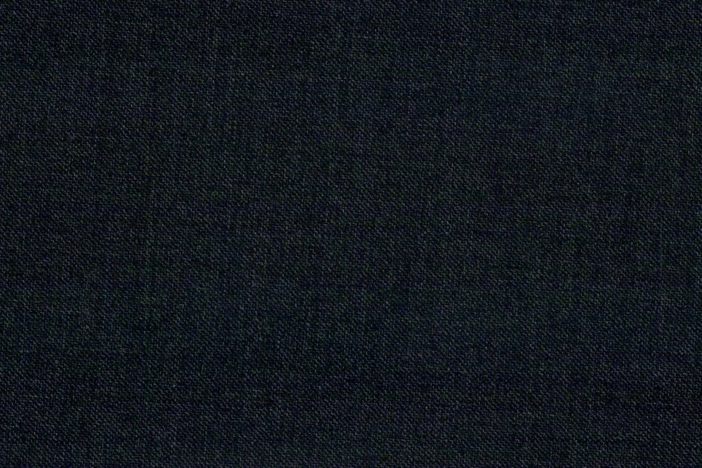 Vitale Barberis Canonico Perennial Super 110's 26953-295 DARK GREY SSKIN fabric swatch