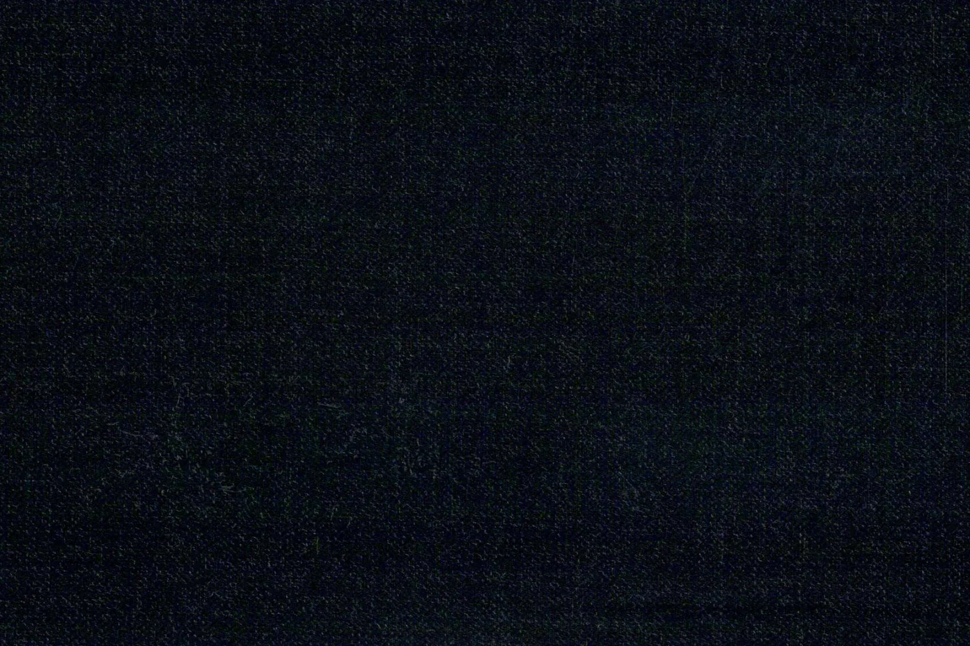 Vitale Barberis Canonico Perennial Super 110's 26954-295 CHARCOAL SSKIN fabric swatch