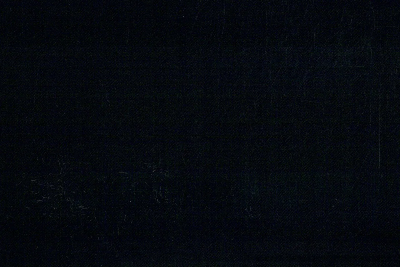 Vitale Barberis Canonico Perennial Super 110's 26970-360 BLACK HBONE fabric swatch