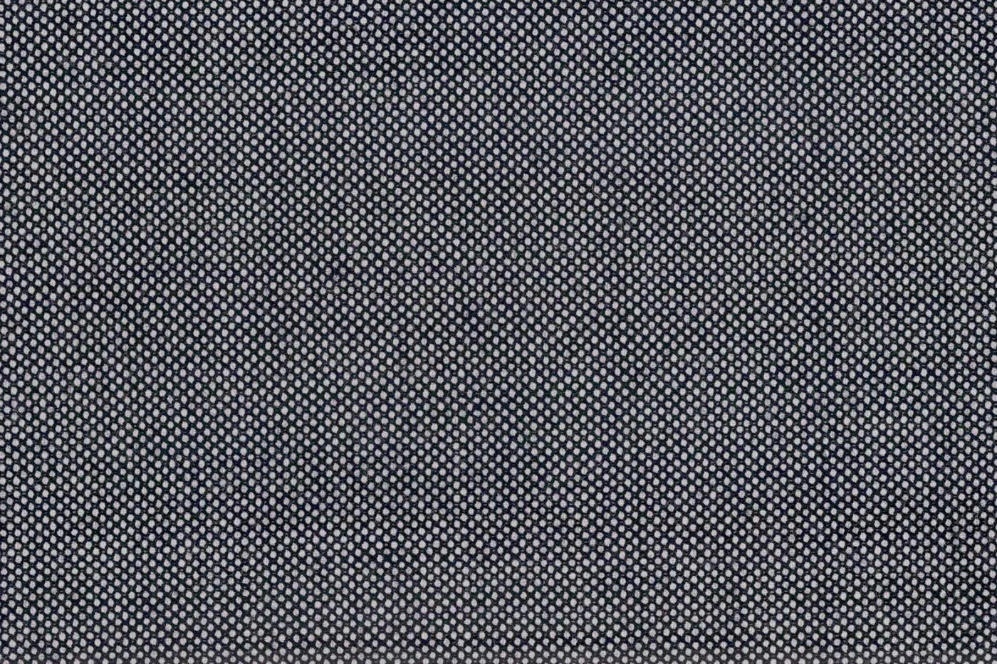 Vitale Barberis Canonico Perennial Super 110's 27766-360 LT.GREY BIRDSEYE fabric swatch
