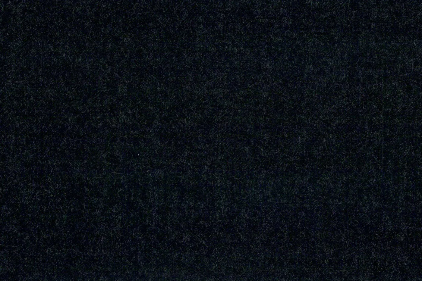 Vitale Barberis Canonico Perennial Super 110's 27857-295 CHARCOAL fabric swatch