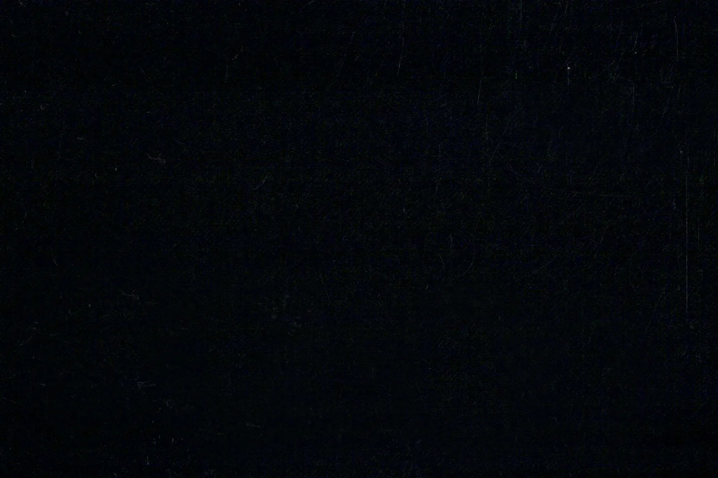 Vitale Barberis Canonico Perennial Super 110's 27863-295 BLACK fabric swatch