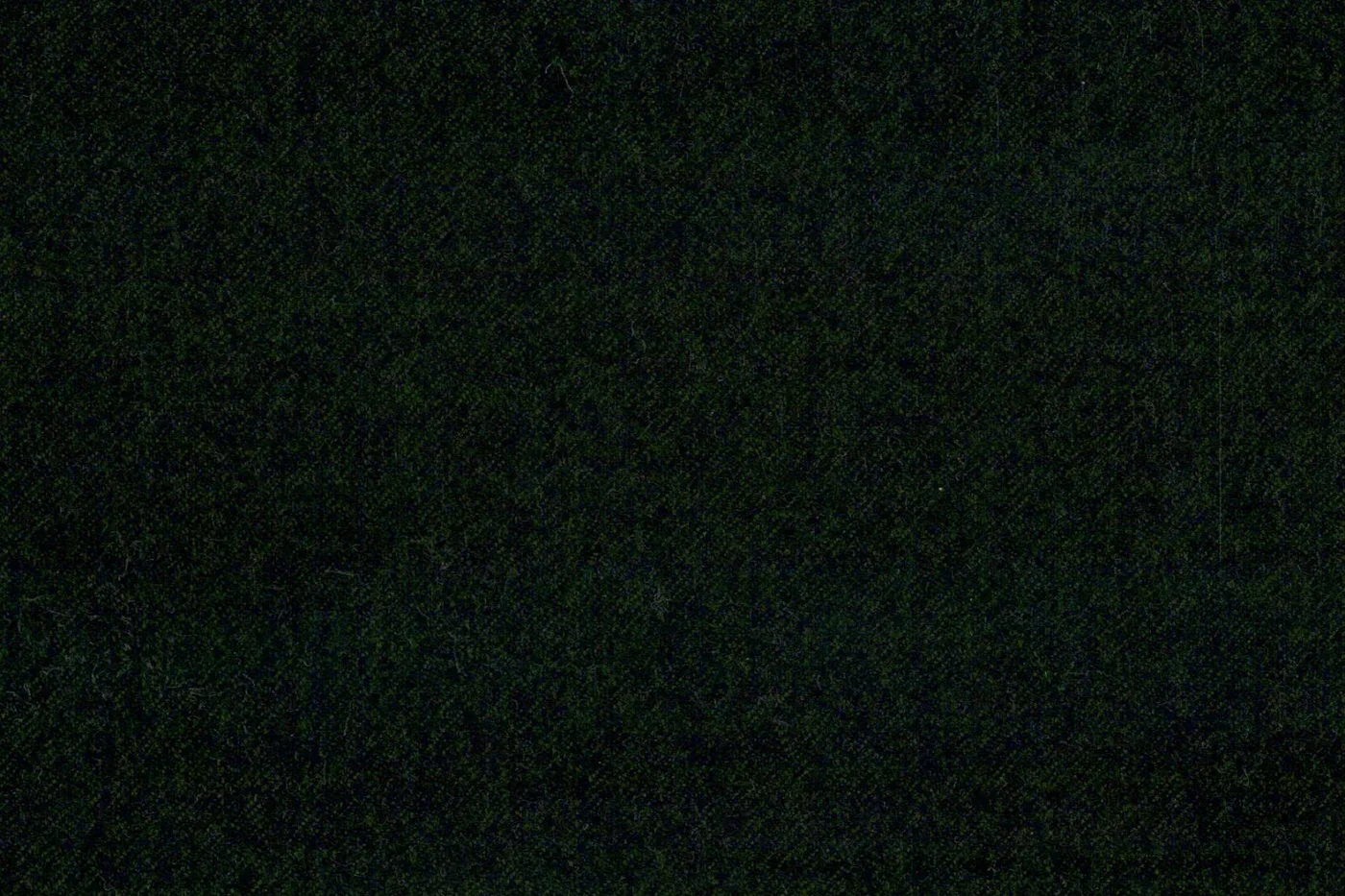 Vitale Barberis Canonico Perennial Super 110's 27866-295 DARK GREEN fabric swatch