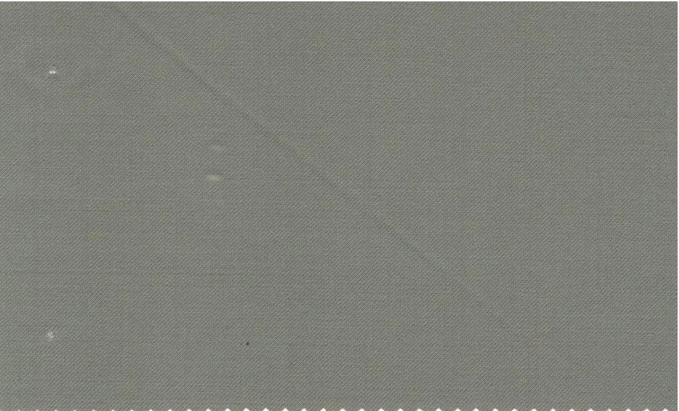 Vitale Barberis Canonico Perennial Super 110's 29290-295 Light Green fabric swatch