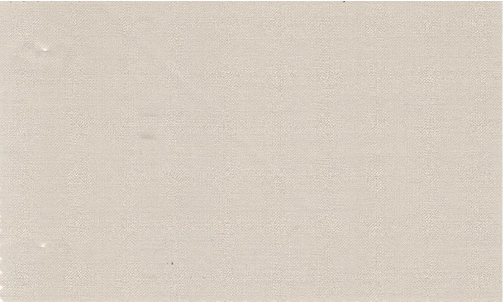 Vitale Barberis Canonico Perennial Super 110's 29681-295 V. Lt. Beige fabric swatch