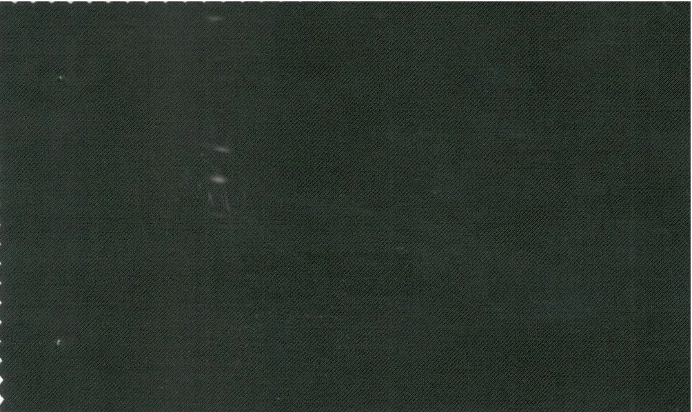 Vitale Barberis Canonico Perennial Super 110's 29686-295 Dark Green fabric swatch