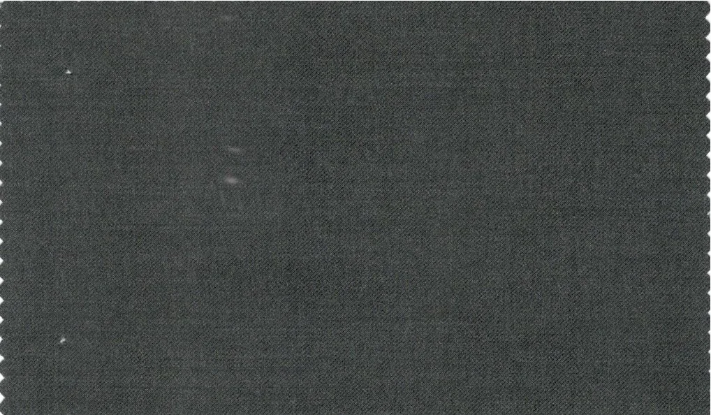 Vitale Barberis Canonico Perennial Super 110's 29689-295 Melange Ash Green fabric swatch