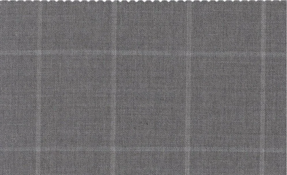 Vitale Barberis Canonico Perennial Super 110's 29919-360 Light Grey Windowpane fabric swatch