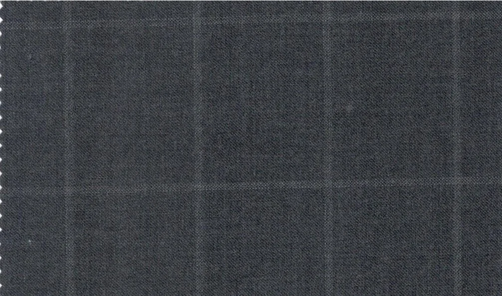Vitale Barberis Canonico Perennial Super 110's 29920-360 Grey Windowpane fabric swatch