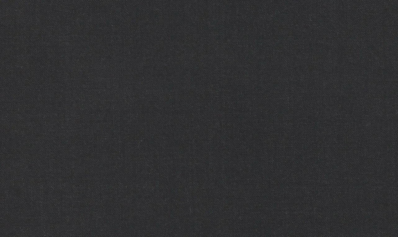 Vitale Barberis Canonico Revenge Super 150’s 29026-440 CHARCOAL fabric swatch