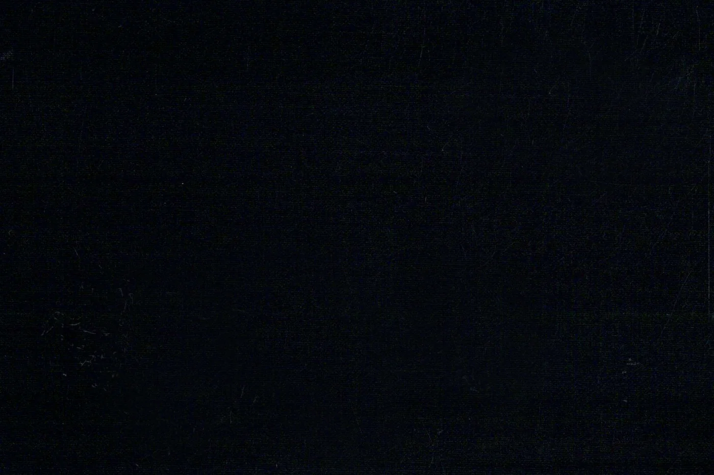 Vitale Barberis Canonico Wool & Mohair 26988-370 BLACK MOHAIR 230 GM fabric swatch