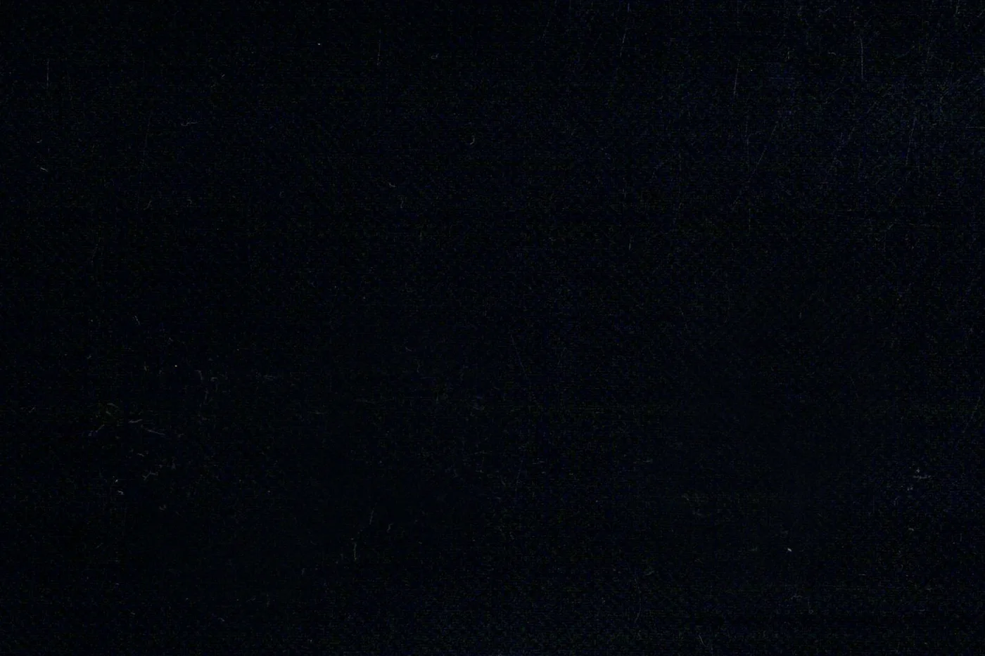 Vitale Barberis Canonico Wool & Mohair 26991-370 BLACK HOPSACK fabric swatch